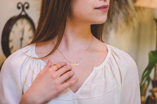 Conscious Life and Style