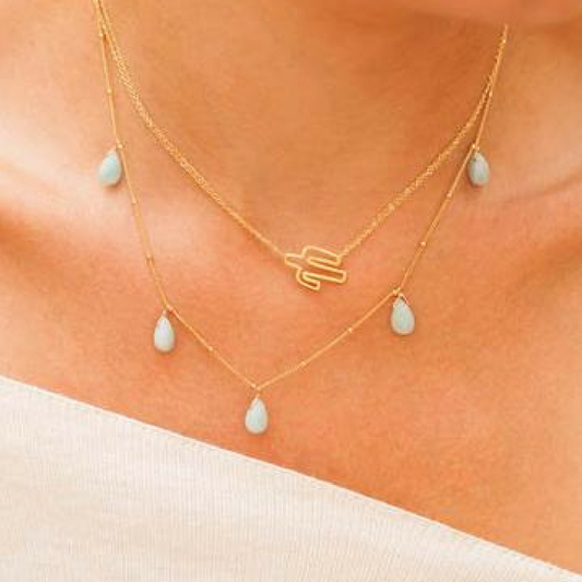 Cactus That Doesn't Poke Ya