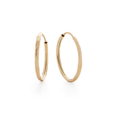 Load image into Gallery viewer, Nina (Sleeper) Hammered Hoop Earrings
