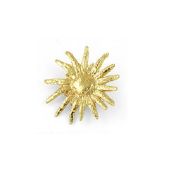 Ruth Sea Star Brooch