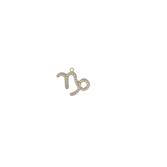 Capricorn Horoscope Signs (Small-Tiny) - Waterproof