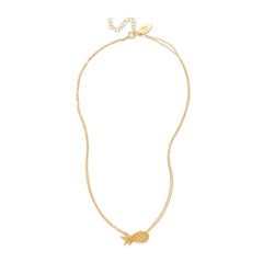 Amber (pineapple)