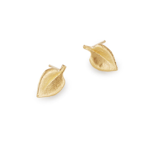 Stella (succulent) Stud Earrings